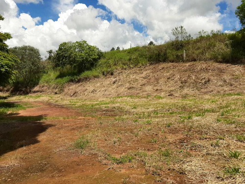 Chácara Muito Próximo Da Cidade De Aiuruoca , Com 30.000 Metros Quadrados, Casa Boa , Água,luz, Pasto. Chácara 1klm Do Centro De Aiuruoca , Com Casa Muito Boa . - 914