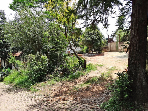 Terreno Em Santa Tereza - Lu261583