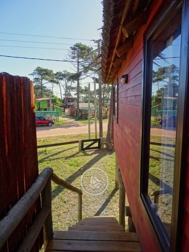 Los Geckos En Punta Del Diablo