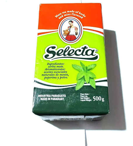 Erva Mate Para Terere Selecta Menta 500g