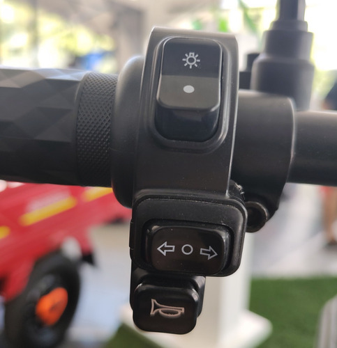 Imagen 9 de 19 de Triciclo Electrico Absolute Gt 500w 48v Bateria De Gel Golf
