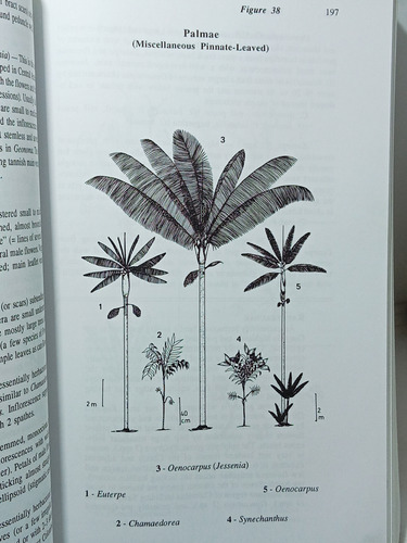 Plantas Leñosas Del Noroeste De Sudamérica - 1996 -en Inglés