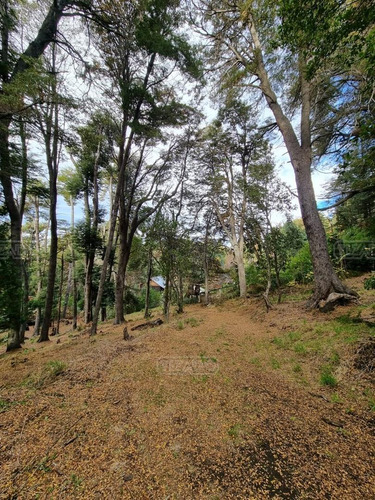 Imagen 3 de 24 de Terreno Lote En Venta Ubicado En Valle Escondido, Bariloche, Patagonia