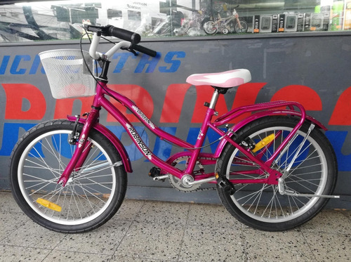 Imagen 3 de 3 de Bicicleta Niña Rodado 20 De Paseo Guardabarro Canasto Envios