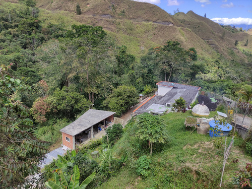 Venta De Casa San Antonio De Los Altos El Amarillo Rz
