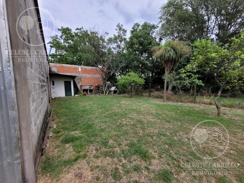 Imagen 6 de 15 de Terreno - Torres