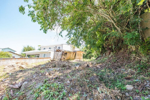 Imagem 2 de 7 de Terreno À Venda No Bairro Ponta Das Canas - Florianópolis/sc - O-25734-42429