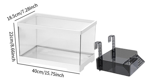 Tortuga Tanque Reptile Hábitat Hábitat Tortuga Kit L Con
