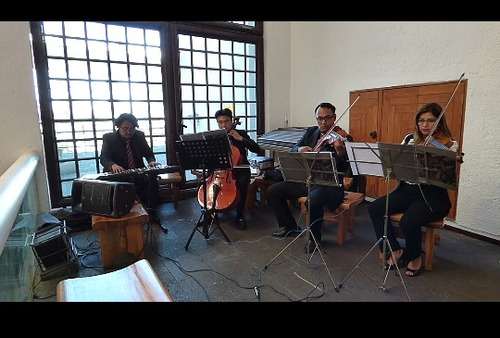 Imagen 4 de 5 de Violines Para Misa Y Eventos Sociales Cuerdas, Piano Y Voz