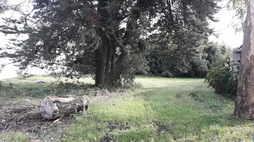 Imagen 6 de 6 de Venta Terreno Barrio La Florida. Mar Del Plata !