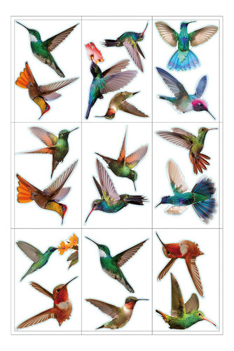 9 De Colibrí Electrostáticas, De Cristal De Dos Cara Para