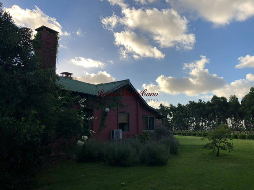 Venta Chacra 8 Has Jose Ignacio - Ref: 19475