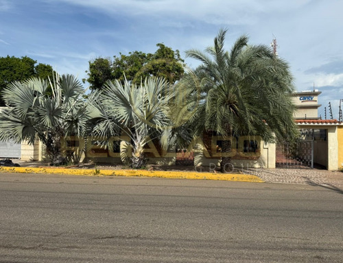 Cv-1565 Zona Norte Casa Comercial Avenida 12 Urbanización Canta Claro