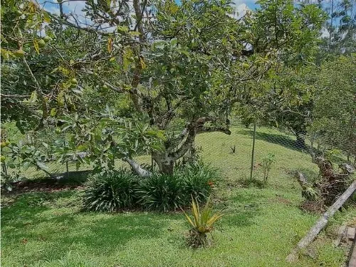 Finca Independiente En Rionegro(mls#242540)
