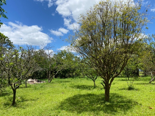 Chácara 2.200 M² - Morungava - Gravataí - Rs - 2481 - 68820505