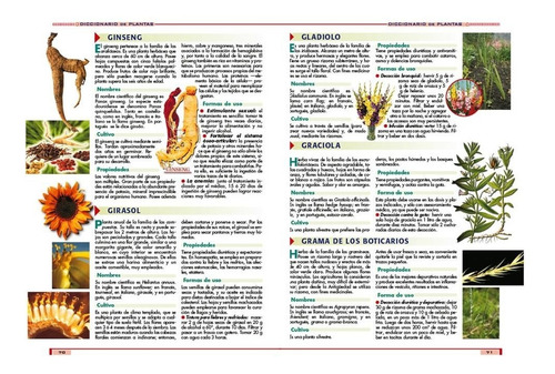 Libro Las Hierbas Aromáticas - Saborizantes Y Saludables