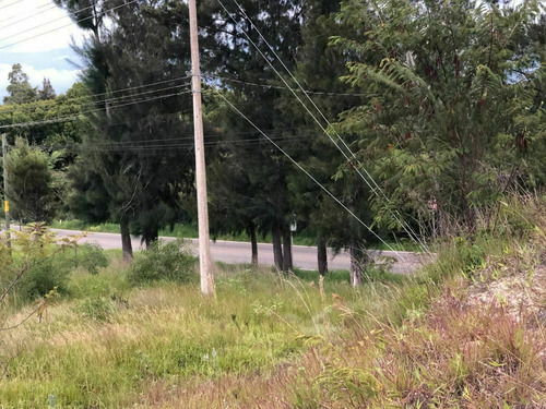 Terreno En Renta En Comitan