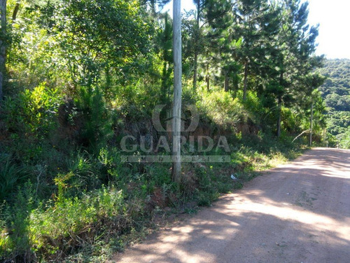 Imagem 3 de 10 de Terreno - Coronel Aparicio Borges - Ref: 38025 - V-38025