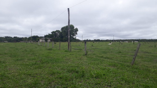 Fazenda 500 Alqueires (1210 Hectares), Juara - Mt