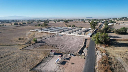 Imagen 1 de 14 de Excelente Terrenos En Venta Con Todos Los Servicios Cerca Del Centro Tolcayuca