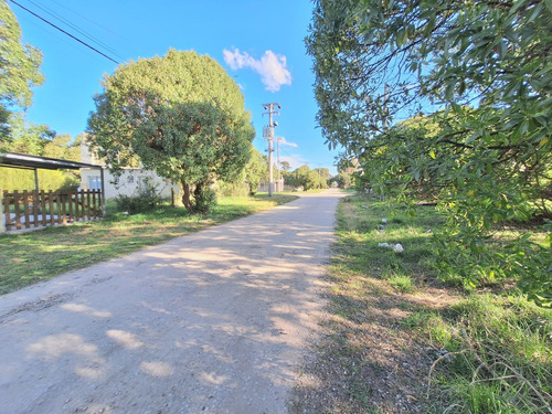 Lote En Playa De Los Lobos