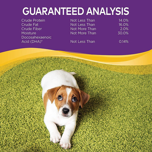 Bienestar Natural Grano Libre Del Entrenamiento Del Perrito