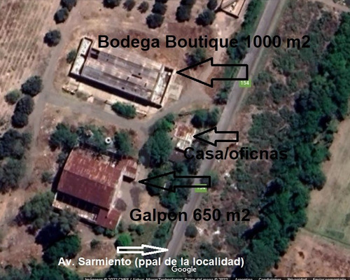 Bodega Boutique Y Finca En San Rafael. Terreno Apto Para Loteo De 650 Lotes De 400 M2 C/u. Alquiler De Tierra Para Pasto O Ajo. Oportunidad Para Invertir En San Rafael, Mendoza.