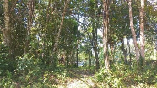 Imagem 8 de 12 de Ampla Chácara Lado Serra, Itanhaém- Chácaras Glória. 9192