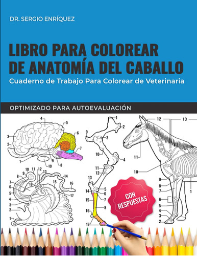 Libro Para Colorear De Anatomía Del Caballo - Cuaderno 71tqg