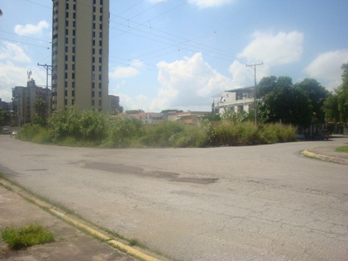 Imagen 3 de 7 de Terreno En Venta Urb. San Jacinto 0412-872.45-45
