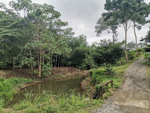 Imagen 5 de 8 de Oportunidad Terreno De 6100 M2 A 5 Minutos De El Carmen