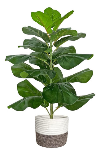 Árbol De Higo De Hoja De Violín Artificial  Ficus Lyr...