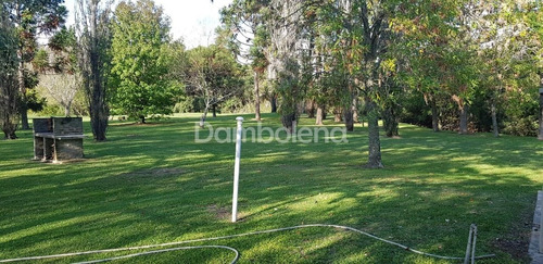 Imagen 16 de 30 de Terreno Campo En Venta O Permuta Ubicado En Baradero, Resto De La Provincia, Buenos Aires