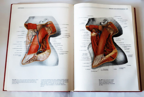 Atlas De Anatomia Humana Sobotta Vols 1 E 2 1993 (Usado)