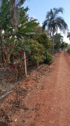 Imagem 27 de 30 de Chácara 12mil M2, Rico Em Água Com Lago, Casa Sede Boa, Pomar Formado, Piscina, Poço Artesiano, Canil, Campo De Futebol, Ótima Localização - Ch00251 - 70808928