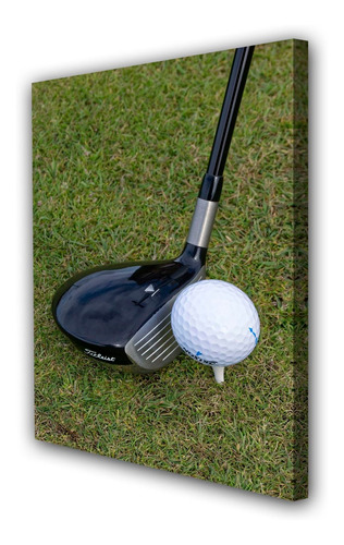 Cuadro Canvas Golf Deporte Golfista Cesped M2