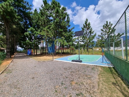 Imagem 12 de 15 de Terreno Com 600 M² Em Condomínio De Alto Padrão No Parque Do Imbuí - Teresópolis/rj. - Te00467 - 70716203
