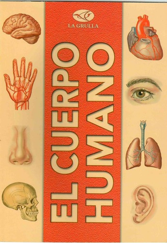 Cuerpo Humano, El, De Anónimo. Editorial La Grulla En Español