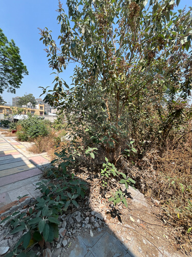 Terreno Residencial En Venta En Popotla