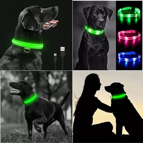 Collares Led Luminosos Recargable Para Mascotas Perro Gato