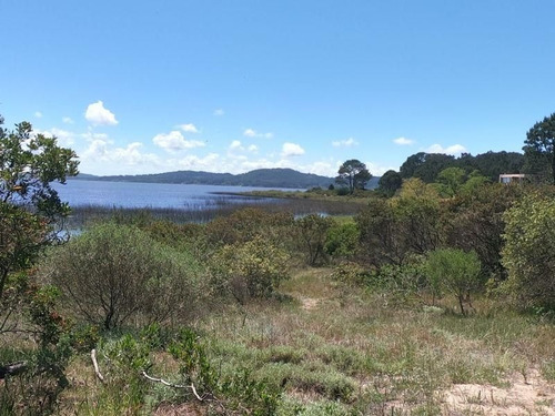 Imagen 10 de 17 de Terreno De 4.374 Mts2 Con Costa A Laguna Del Sauce