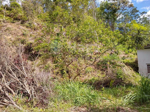 Terreno Terreno À Venda Em Brusque/sc - 1658
