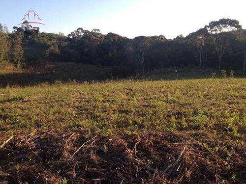 Imagem 3 de 8 de Terreno À Venda, 20000 M² Por R$ 450.000,00 - Areia Branca - Mandirituba/pr - Te0139