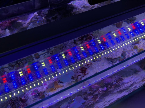 Imagem 3 de 6 de Luminária Led Aquário Eco Power Ft-80 Bra+azul+b/a/v 5292lm