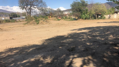 Imagen 6 de 8 de Terreno En Venta