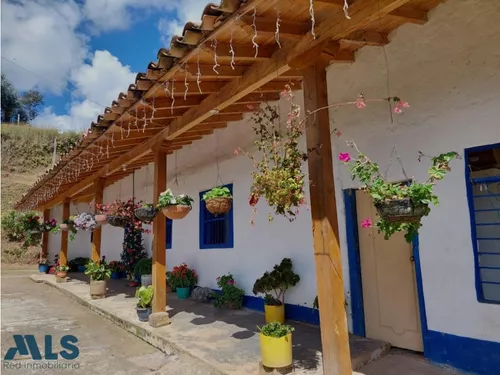Grandiosa Finca Con Cultivos De Aguacate Hass(mls#247937)