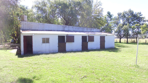 Imagen 13 de 14 de En Venta 35 Has Agricolas Con Muchas Mejoras. Mercedes (b)