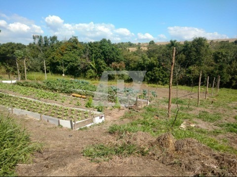 Imagem 5 de 19 de Chácara Em São Pedro - Ch00123 - 69551508