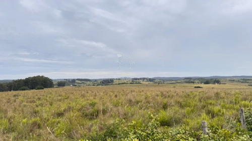 Campo 26 Has Sobre Camino Los Molles