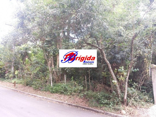 Imagem 5 de 6 de Excelente Terreno Próximo Da Raposo Tavares,km 26! - Te0033